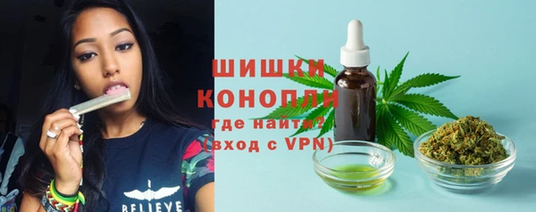шишки Белокуриха