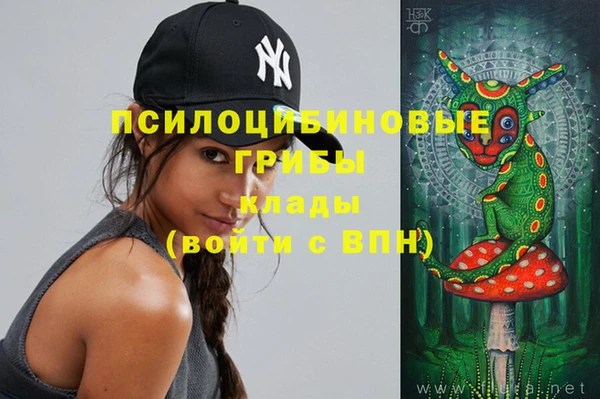 шишки Белокуриха