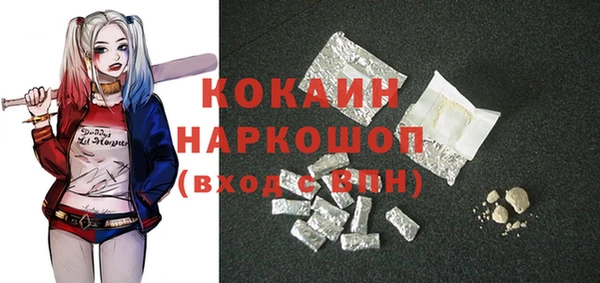 шишки Белокуриха