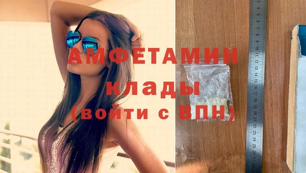 шишки Белокуриха