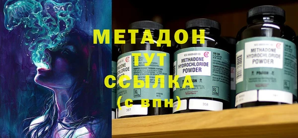 шишки Белокуриха